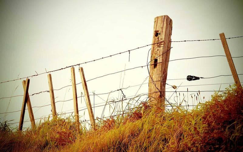 A Complete Guide to Pre-Employment Medical Screening in Kenya